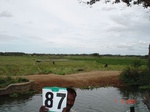 6393087c-irrigated-canal-rice-dominant-chilli-rice-single-crop.jpg