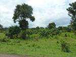 20999P1020869.JPG