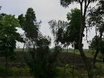 31601CIMG1467.JPG