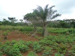 20199P1020053.JPG