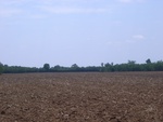 28062RIMG0117.JPG
