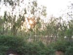 529627042008(97).JPG