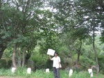 7714gt0121b-forests-young-secondary-forest.jpg