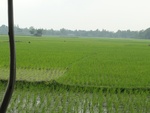 21695DSC00233.JPG