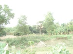 21901DSC08498.JPG