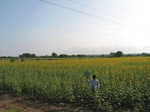 7700gt0107b-cropland-rainfed-farm fallow-black-soils.jpg
