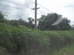 26710IMG_3460.JPG