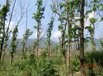 53256CIMG6500.JPG