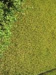 13986IMG_4294.JPG