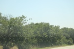 2024-06-17_22-14-50_4C3D4776-C1D1-4D12-B630-F4992DB8CF57.jpeg
