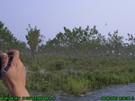1312R0015105_tag.jpg