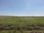 24700DSC01124.JPG