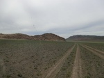 37054CIMG0848.JPG