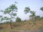 3792RIMG0096.JPG