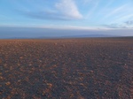 38015P1070767.JPG