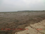 38921CIMG4812.gps.jpg