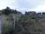 24846DSC01024.JPG