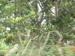 48708CIMG5045.JPG