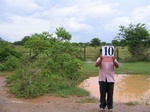 1174310-mixed-others-rice-waterb.jpg