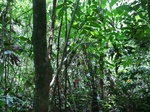 47038CIMG3375.JPG