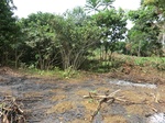 46920CIMG3257.JPG