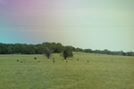 2024-06-17_22-14-50_F1D5D752-63E4-499C-8766-5FA73A8D934A.jpeg