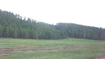 33781CIMG2454.JPG