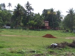 1696810052008(38).JPG