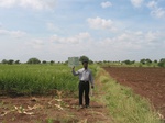 7951gt82a_grains_maize.jpg