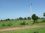 19474P1010321.JPG