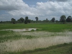 33338IMG_5676.JPG