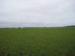 16087IMG_4831.JPG