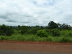21036P1020907.JPG