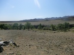 37342CIMG1144.JPG