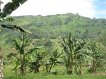 13688IMG_3949.JPG
