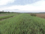24874DSC01088.JPG