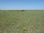 36098P1050004.JPG