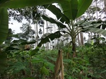 50925CIMG0384.JPG