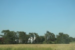 2024-06-17_21-44-23_B0705358-3FFD-4196-B943-0071874E18E7.jpeg