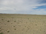 37097CIMG0894.JPG