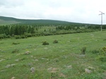 23780P1040859.JPG