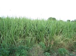 1771422042008(91).JPG