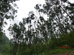 53688CIMG7079.JPG