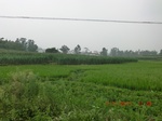 32615CIMG1734.JPG