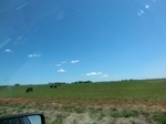 29987CIMG0668.JPG