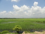24625DSC00844.JPG
