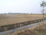 4647RIMG0072.JPG