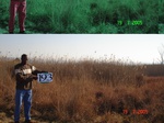 10984gt-193-wetland-small-dam-02.jpg