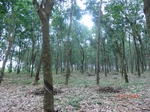 52623CIMG4006_调整大小.JPG