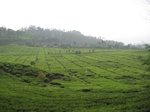 13595IMG_3849.JPG